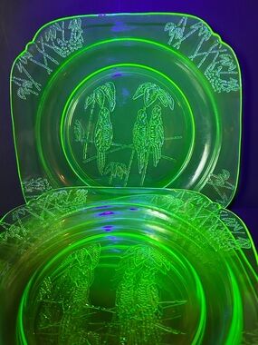 Federal Sylvan Parrot  Green Depression Glass Plates - Set of 5 Uranium Glow